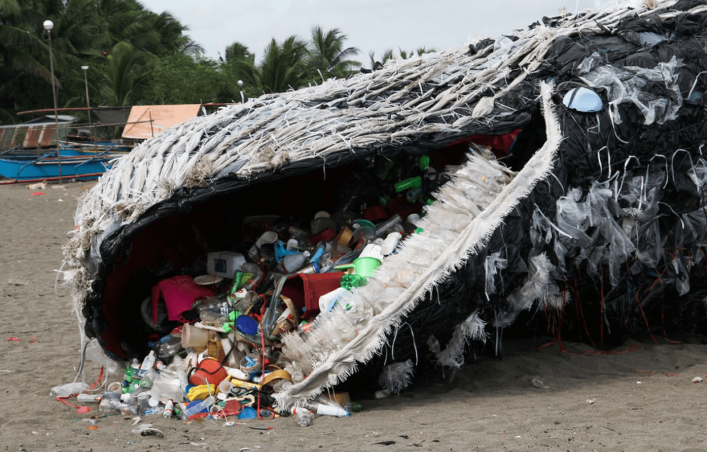 Beached whale with trash in its mouth.